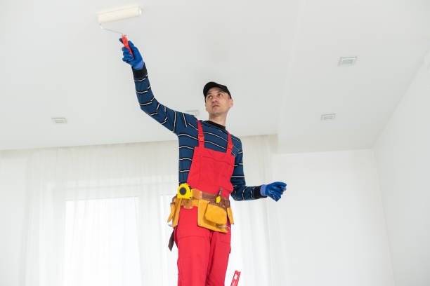 Whitesboro, NY Mold Removal Company